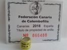 CANARIA SPAIN 2018