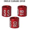 inele canari 2018 3