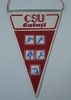 CSU Galati Fanion