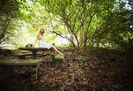Taylor Swift (2)