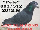 2012.0037512.M pele++