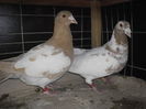 SAM_0925