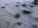 1 mart. 2018 - dupa 3 zile de viscol si ger