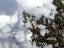 1 mart. 2018 - dupa 3 zile de viscol si ger