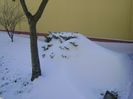 1 mart. 2018 - dupa 3 zile de viscol si ger