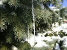 1 mart. 2018 - dupa 3 zile de viscol si ger