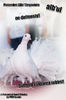 Porumbei albi nuntă
