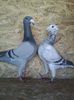 Photo0443