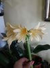 20180303_094703[1]