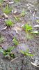 IMG-20180308-WA0009