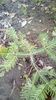IMG-20180308-WA0017