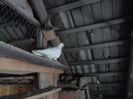SAM_0766