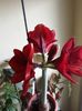 20180311_125622[1]