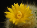 DSC05561