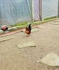 20180312_120007 (2)
