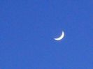 Echinocțiul de primăvară  - Luna noua in Taur