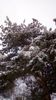 IMG-20180323-WA0125