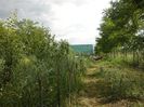 IMG-20180202-WA0067