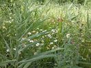 IMG-20180202-WA0000