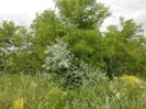 IMG-20180202-WA0055