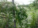 IMG-20180202-WA0058