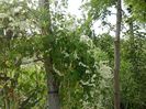 IMG-20180202-WA0059