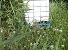 IMG-20180202-WA0056