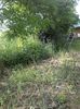 IMG-20180202-WA0042