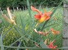 IMG-20180202-WA0014