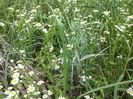 IMG-20180202-WA0023