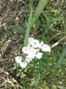 IMG-20180202-WA0019