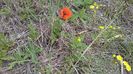 IMG-20180202-WA0034