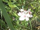 IMG-20180202-WA0022