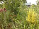 IMG-20180202-WA0005