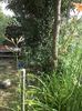 IMG-20180202-WA0029