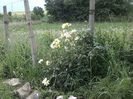 IMG-20180202-WA0039