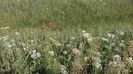 IMG-20180202-WA0032