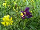 IMG-20180202-WA0011