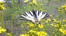 IMG-20180202-WA0037