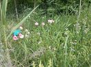 IMG-20180202-WA0018