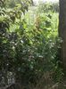 IMG-20180202-WA0024