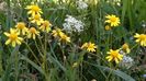 IMG-20180202-WA0036