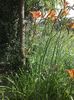 IMG-20180202-WA0003