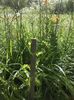 IMG-20180202-WA0017