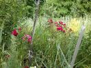 IMG-20180202-WA0004