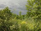 IMG-20180202-WA0002