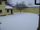 23 mart. 2018 - Cod portocaliu de viscol