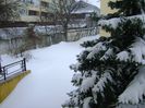 23 mart. 2018 - Cod portocaliu de viscol