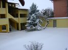 23 mart. 2018 - Cod portocaliu de viscol