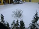 23 mart. 2018 - Cod portocaliu de viscol